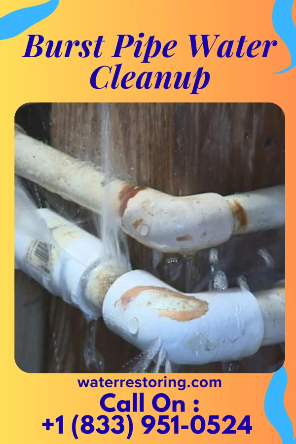 Burst Pipe Water Cleanup in Whittier, CA